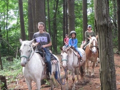 From FlameAzaleas to Pines + Amanda